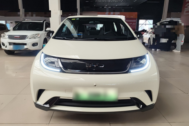 比亚迪 海豚 2025款 420km 自由版车身外观6001