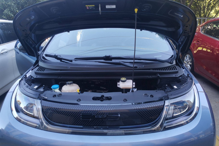 比亚迪 海豚 2021款 401km 骑士版局部细节24