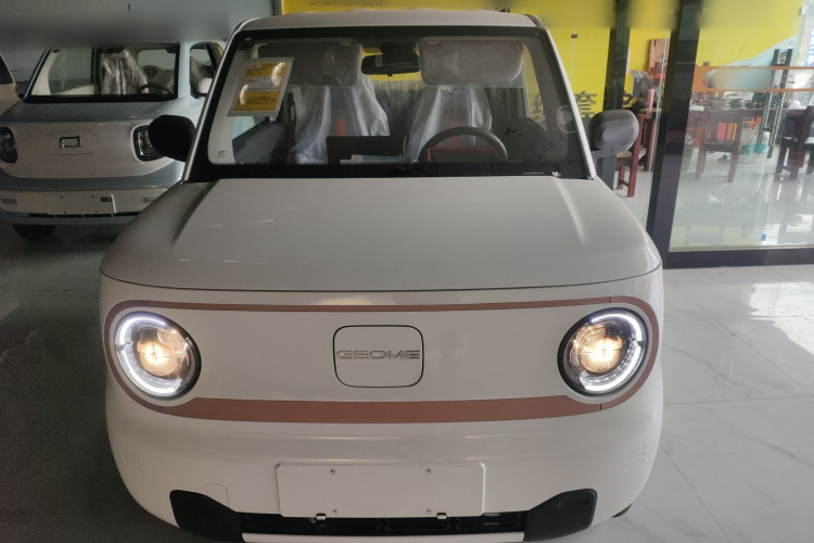 吉利银河 2024款 熊猫mini 200km 龙腾PRO版车身外观2