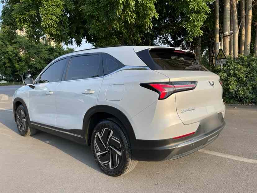 五菱汽车 五菱星光S 2024款 130km 旗舰型(5)