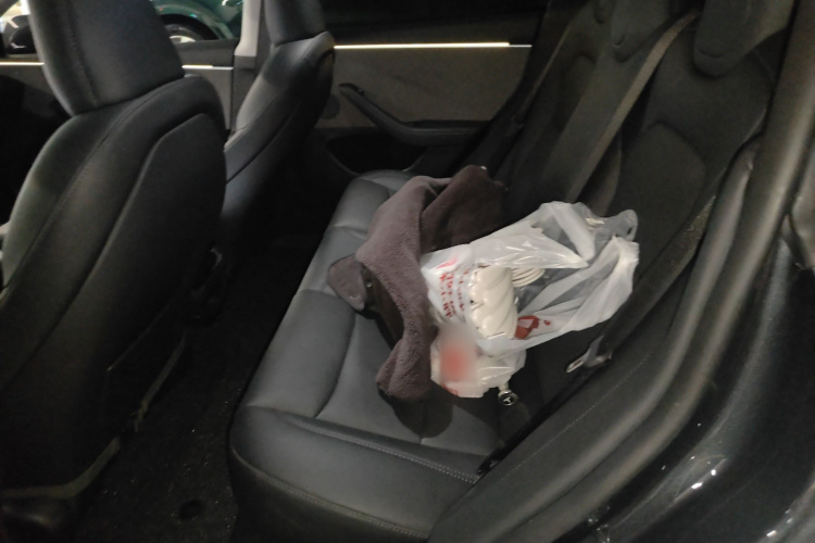 特斯拉 Model 3 2025款 后轮驱动版中控内饰21