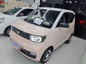 五菱汽车 宏光MINIEV 2021款 马卡龙时尚款 三元锂