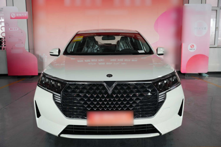 启辰D60 2023款 PLUS 1.6L XE CVT潮领版车身外观6001