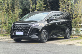 腾势D9 2024款 DM-i 980 四驱旗舰型