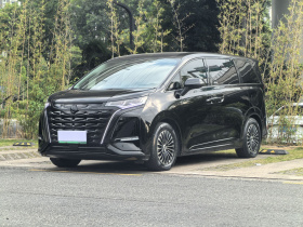 腾势D9 2024款 DM-i 980 四驱旗舰型