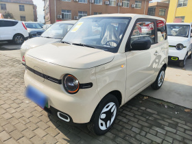 吉利银河 熊猫 2025款 210km 元气熊