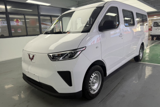 五菱汽车 五菱扬光 2024款 300KM 舒适型客车版 75kW