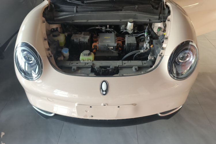 欧拉好猫 2023款 401km标准续航 豪华型 磷酸铁锂机舱底盘24