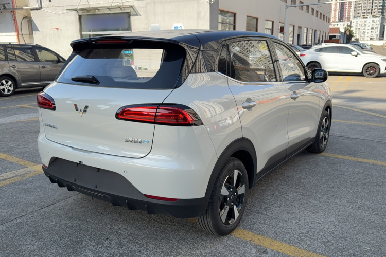 五菱汽车 五菱缤果PLUS 2024款 330km 五座版车身外观6003