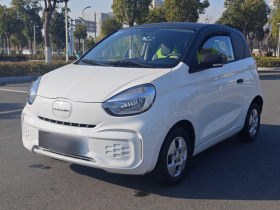 荣威 科莱威CLEVER 2021款 302km全能版