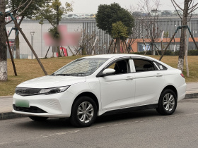 吉利汽车 帝豪新能源 2022款 EV Pro 网约版 磷酸铁锂