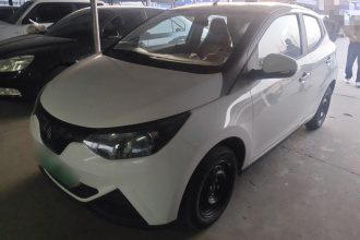 江铃集团新能源 易至EV2 2024款 201km 豪华型