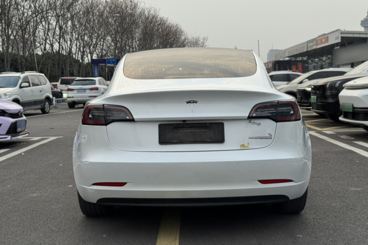 特斯拉 Model 3(进口) 2019款 长续航全轮驱动版车身外观6009