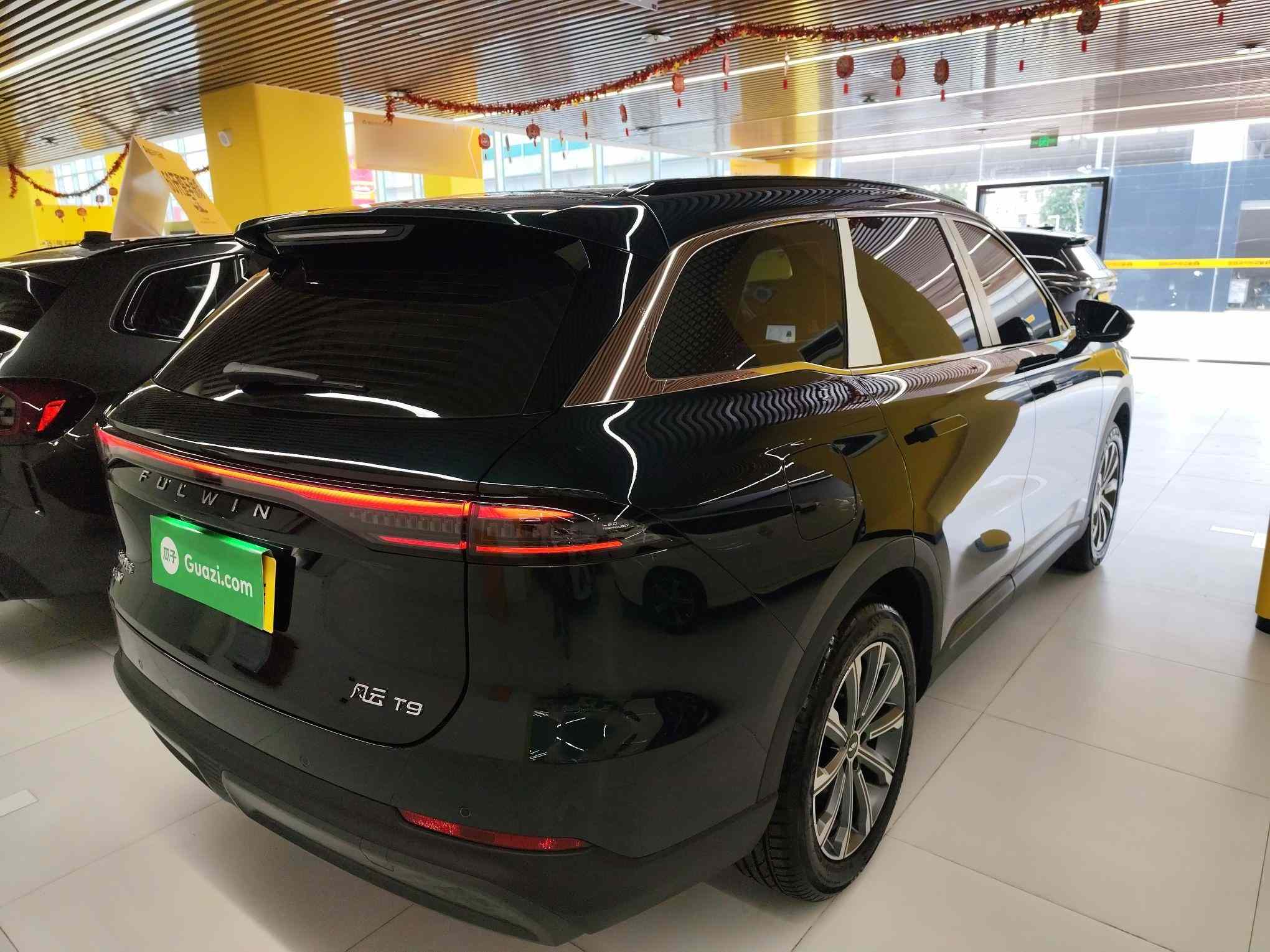 奇瑞风云 风云T9 2025款 120 长续航版尊贵型 5座 磷酸铁锂(4)