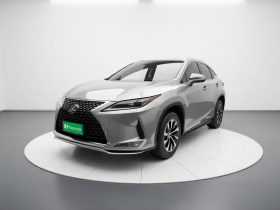 雷克萨斯RX 2020款 改款 300 两驱舒适版