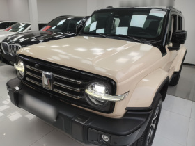 坦克300 2021款 城市版 2.0T 很有型