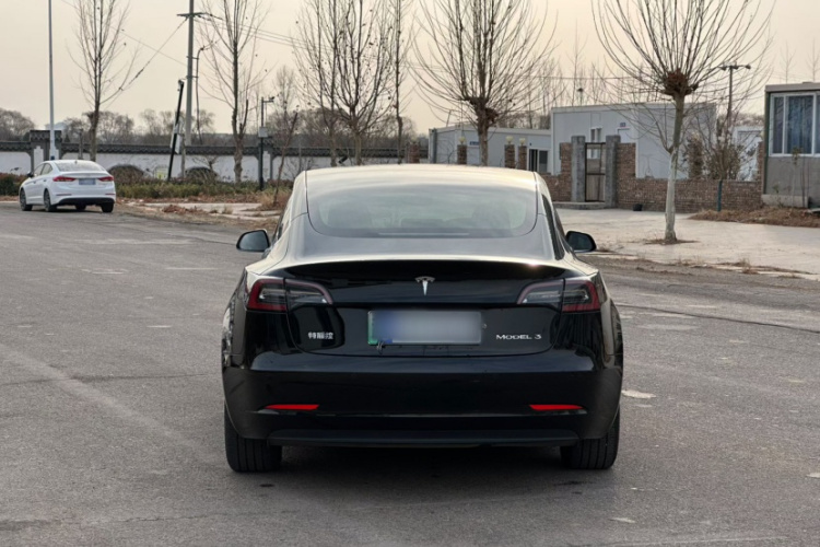 特斯拉 Model 3 2020款 改款 标准续航后驱升级版车身外观6004