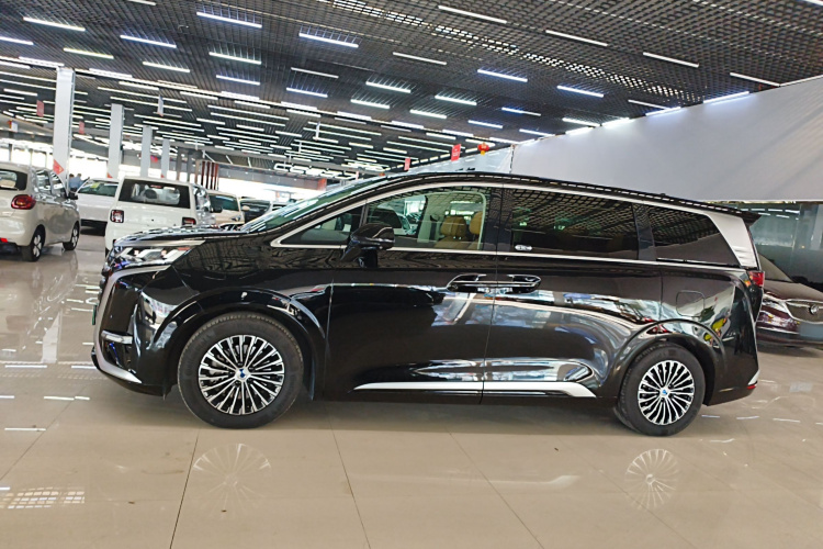 腾势D9 2024款 DM-i 980 四驱旗舰型车身外观6003