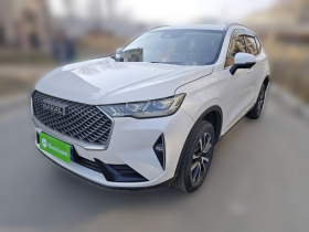 哈弗H6 2021款 第三代 1.5T 自动两驱Max