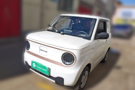 吉利银河 2024款 熊猫mini 200km 耐力熊