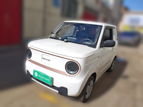 吉利银河 2024款 熊猫mini 200km 耐力熊