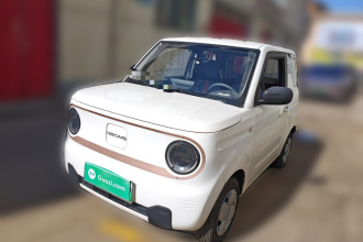 吉利银河 2024款 熊猫mini 200km 耐力熊