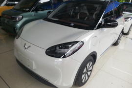 五菱汽车 五菱缤果 2023款 333km 灵犀互联+款