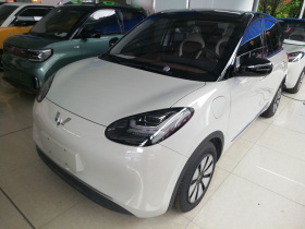 五菱汽车 五菱缤果 2023款 333km 灵犀互联+款