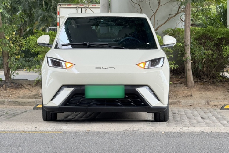 比亚迪 海鸥 2023款 自由版车身外观6008