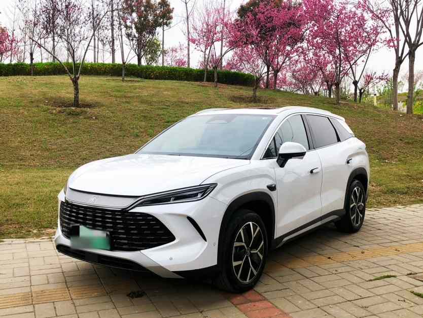 比亚迪 宋L DM-i 2025款 智驾版 160km 超越型(1)