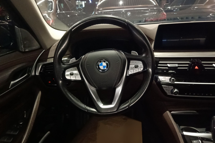 宝马5系 2020款 530Li 领先型 豪华套装局部细节13