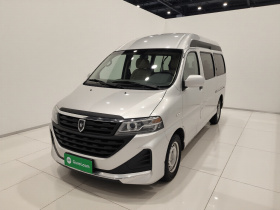 金杯海狮王 2021款 2.0L城运王系列畅运型高顶6座1TZS