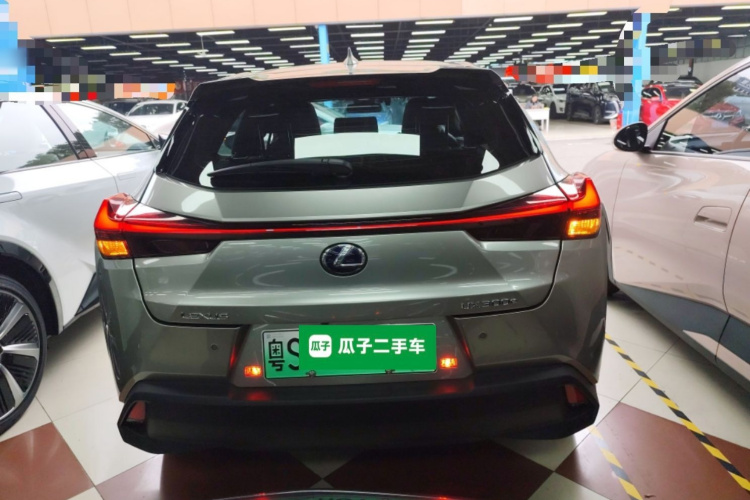 雷克萨斯UX新能源 2020款 300e 纯·悦版车身外观6004