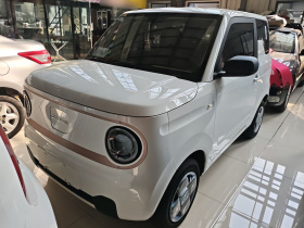 吉利银河 2023款 熊猫mini 200km 耐力熊