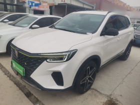 荣威RX5新能源 2021款 ePLUS 国潮荣麟豪华版