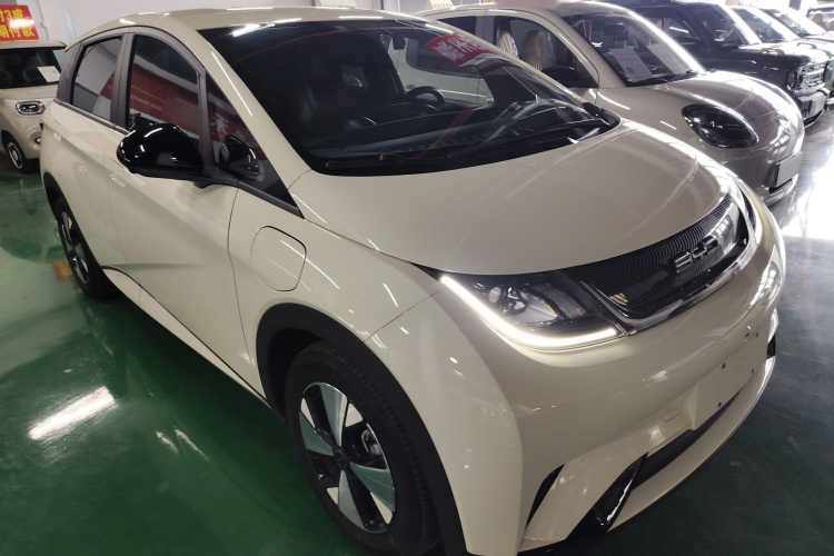 比亚迪 海豚 2023款 420km 自由版车身外观3