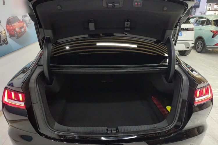 比亚迪 汉 2020款 EV 超长续航版豪华型局部细节23