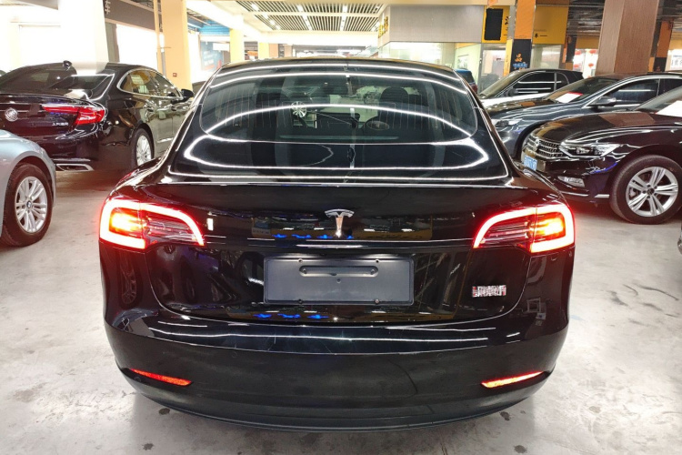 特斯拉 Model 3(进口) 2019款 长续航后驱版车身外观6