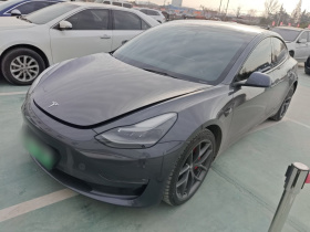 特斯拉 Model 3 2021款 Performance高性能全轮驱动版