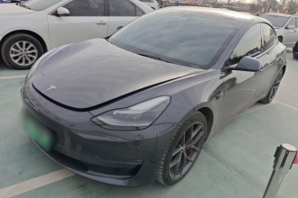 特斯拉 Model 3 2021款 Performance高性能全轮驱动版
