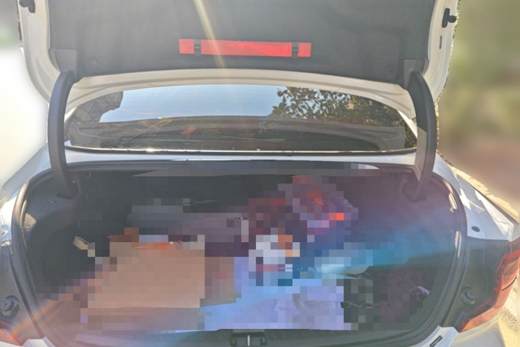 沃尔沃S60 2025款 B4 智逸豪华版中控内饰23