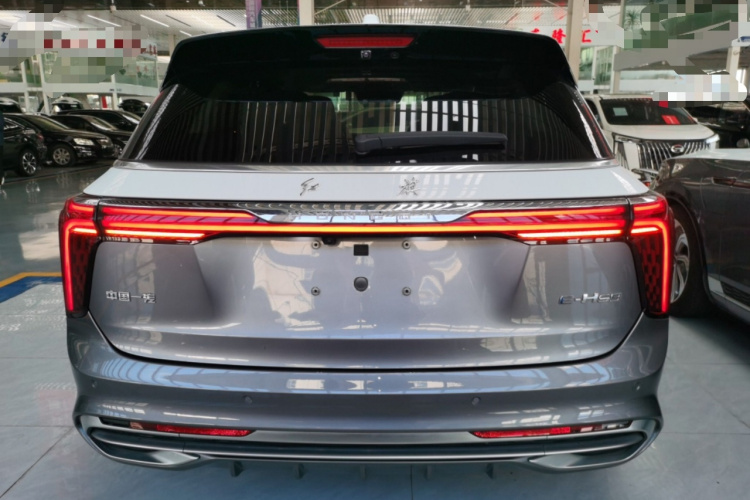 红旗E-HS9 2022款 660km 旗领版 四座车身外观6