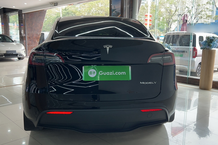 特斯拉 Model Y 2021款 标准续航后驱版车身外观6001