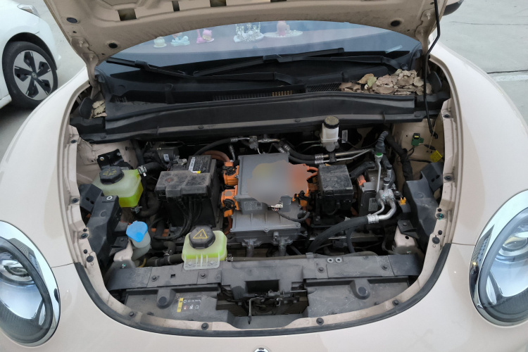 欧拉好猫 2023款 401km标准续航 豪华型 磷酸铁锂局部细节24