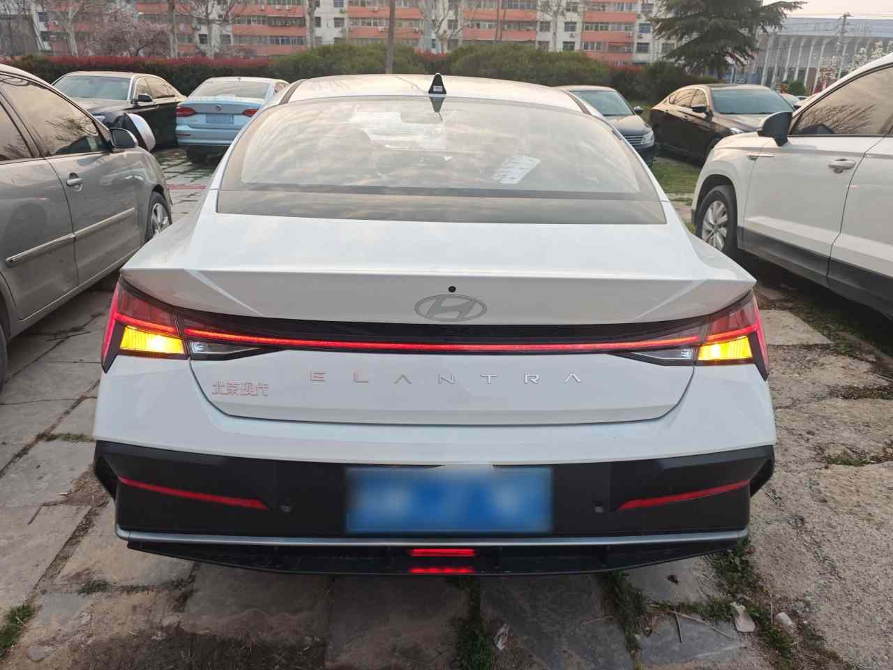 现代 伊兰特 2023款 1.5L CVT LUX尊贵版(3)
