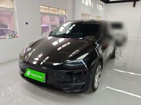 特斯拉 Model Y 2022款 改款 长续航全轮驱动版