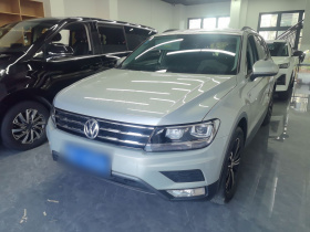 大众 途观L 2019款 330TSI 自动两驱风尚版 国VI