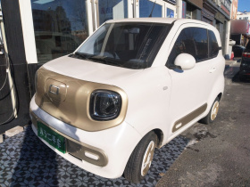 奔腾小马 2024款 170km 元气马