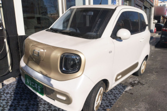 奔腾小马 2024款 170km 元气马