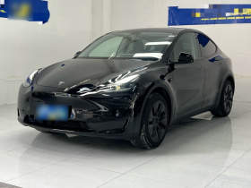 特斯拉 Model Y 2023款 后轮驱动版